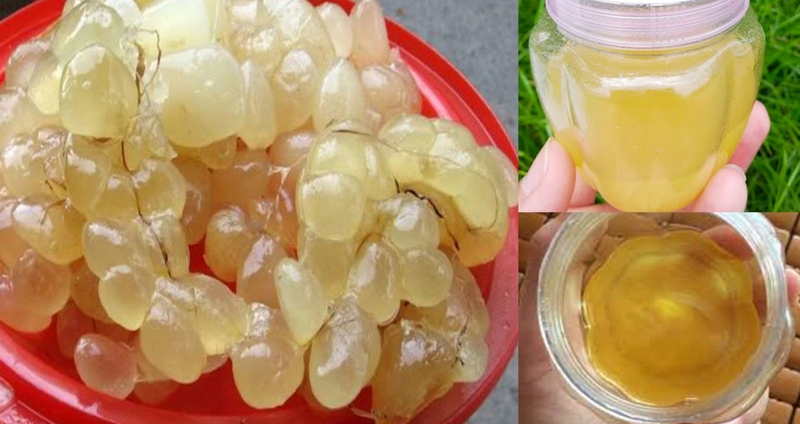 Bị bỏng bôi mỡ trăn được không? Những lưu ý khi dùng mỡ trăn trị bỏng 1