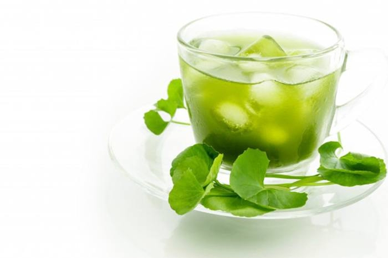 Bị bướu cổ uống rau má được không?