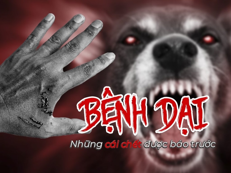 bị chó con cắn xước nhẹ ở tay 2