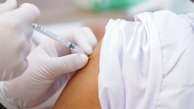 Bị chó dại cắn bao lâu thì tiêm phòng? Những điều cần biết sau khi tiêm phòng vắc xin dại 2