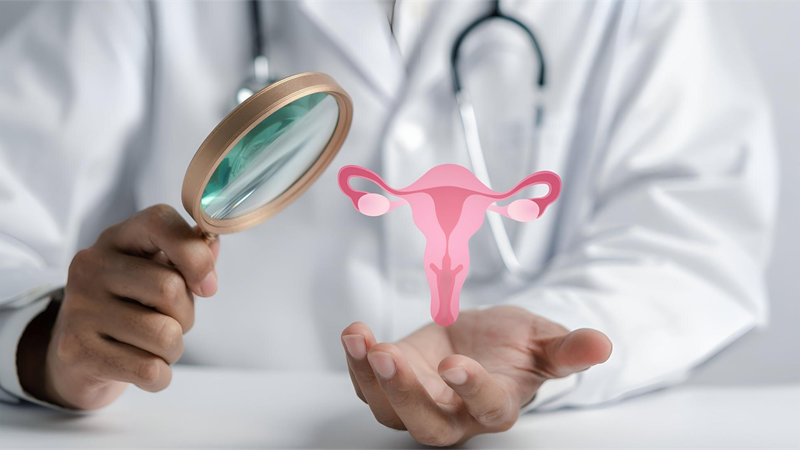 bi-da-nang-buong-trung-lam-sao-de-co-con-cac-phuong-phap-ho-tro-sinh-san 4.png