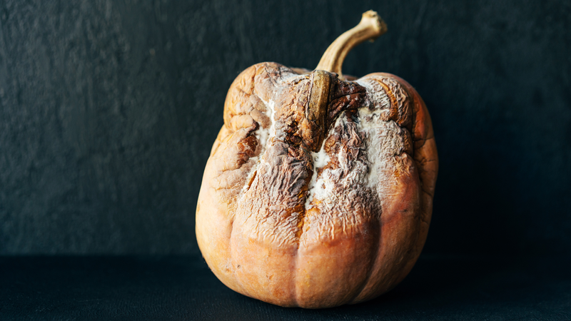 Bí đỏ kỵ với gì? 6 thực phẩm không nên kết hợp khi ăn bí đỏ 4