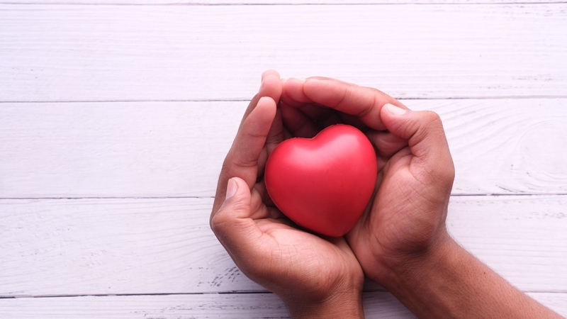 Bí đỏ non và lợi ích đối với sức khỏe 3