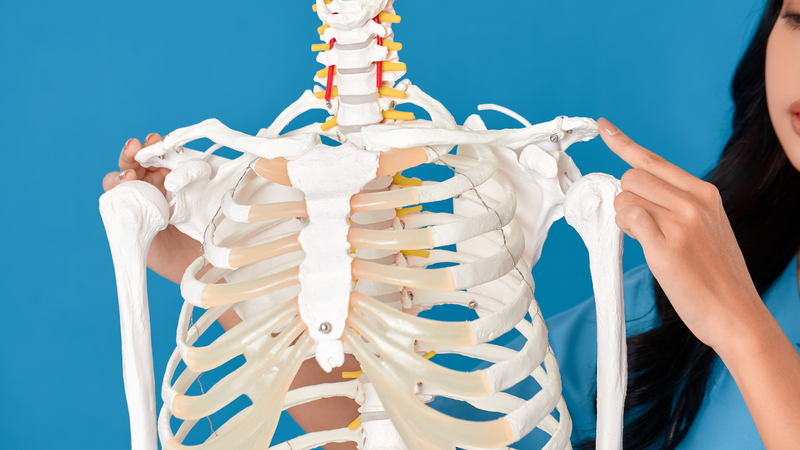 Bị gãy xương đòn có cần bó bột không? 1