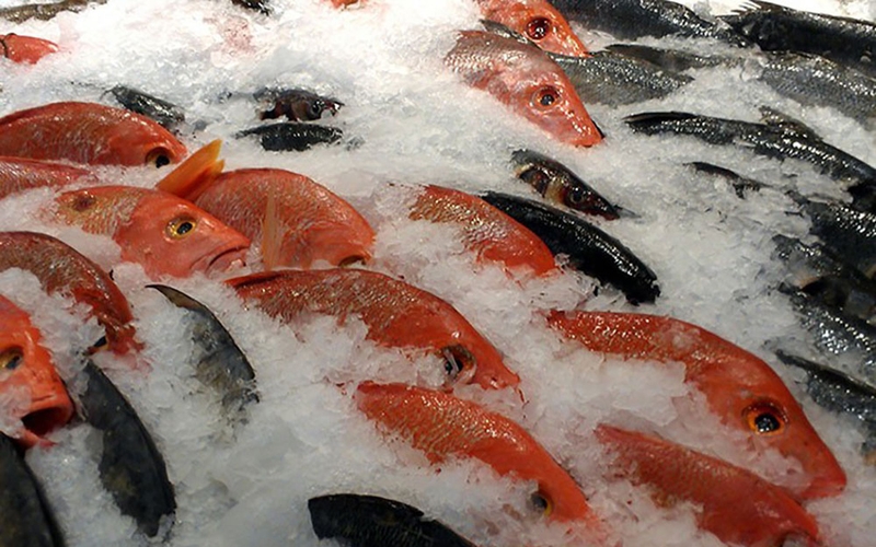 Người bị giãn dây chằng đầu gối nên tránh ăn các loại thực phẩm đông lạnh vì có thể gây bất lợi cho quá trình lành vết thương