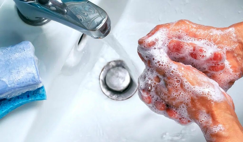 Bị kiến ba khoang cắn có bị sốt không? 2