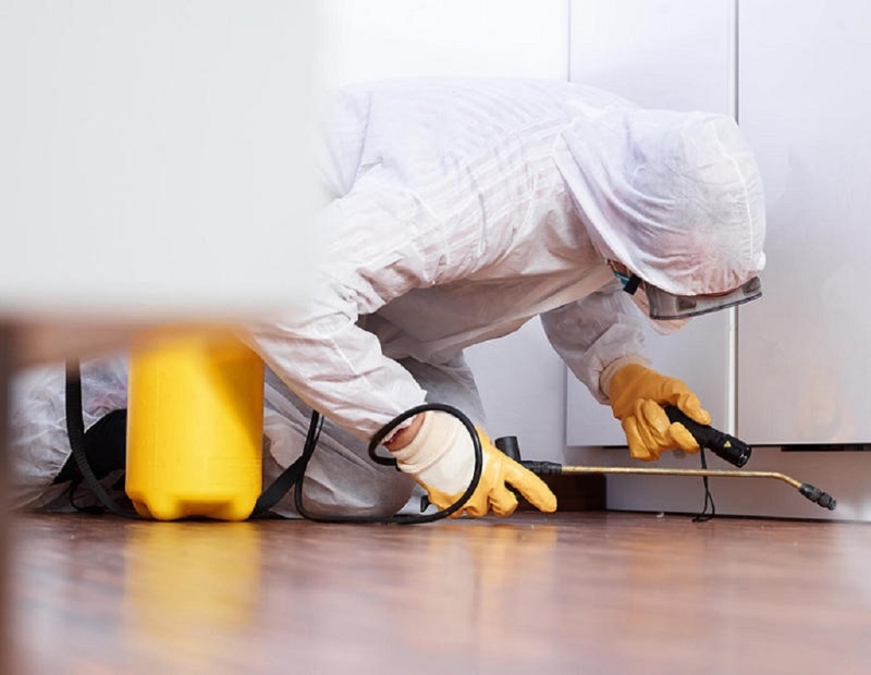 Bị kiến ba khoang cắn có được tắm không và tắm như thế nào 3