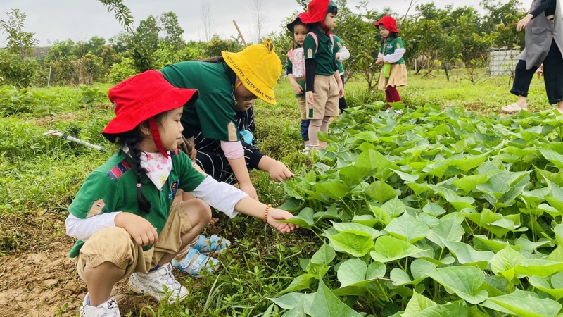 Bí kíp nuôi dạy trẻ thông minh sớm 3