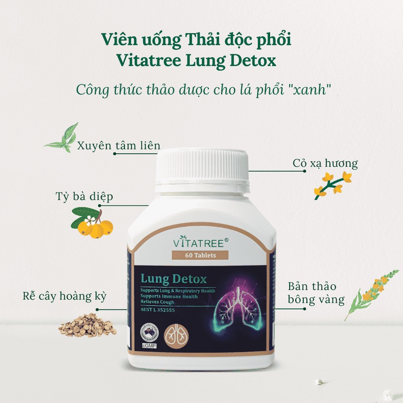 Bí kíp thải độc phổi an toàn và hiệu quả tại nhà 4