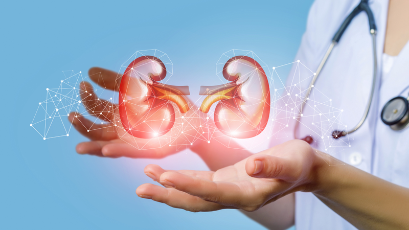 Người mất cả 2 quả thận cần theo dõi sức khỏe thường xuyên và thực hiện đúng hướng dẫn của bác sĩ để hạn chế biến chứng nguy hiểm