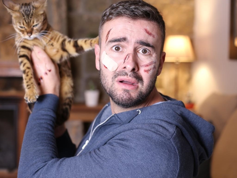 bị mèo dại cắn bao lâu thì phát bệnh 1