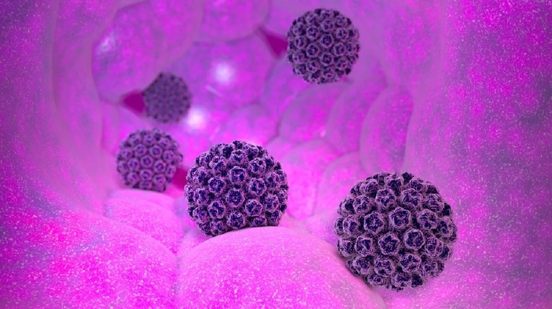 Bị nhiễm HPV 18 phải làm sao? Các bệnh lý do virus HPV 18 gây ra 4