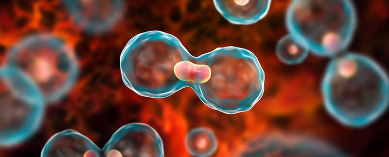 Liệu từ khi bị nhiễm HPV bao lâu thì bị ung thư?