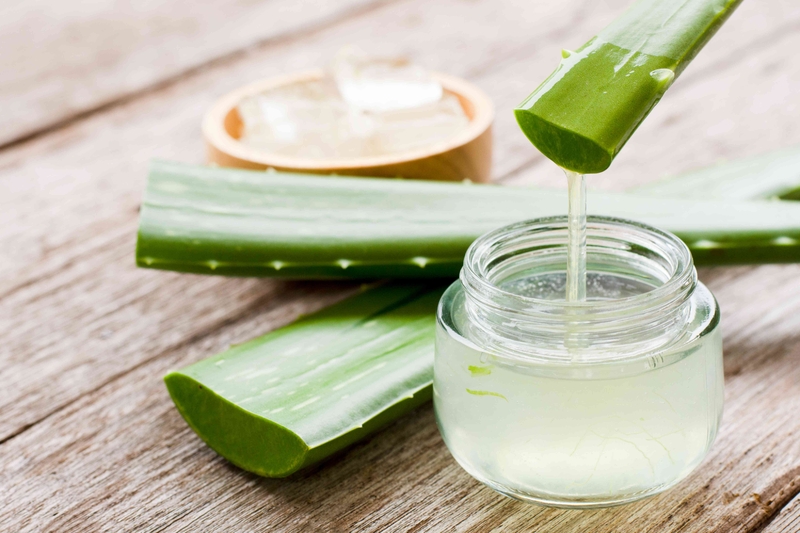 Khi ngứa có thể dùng gel nha đam thoa đều lên vùng da bị mề đay