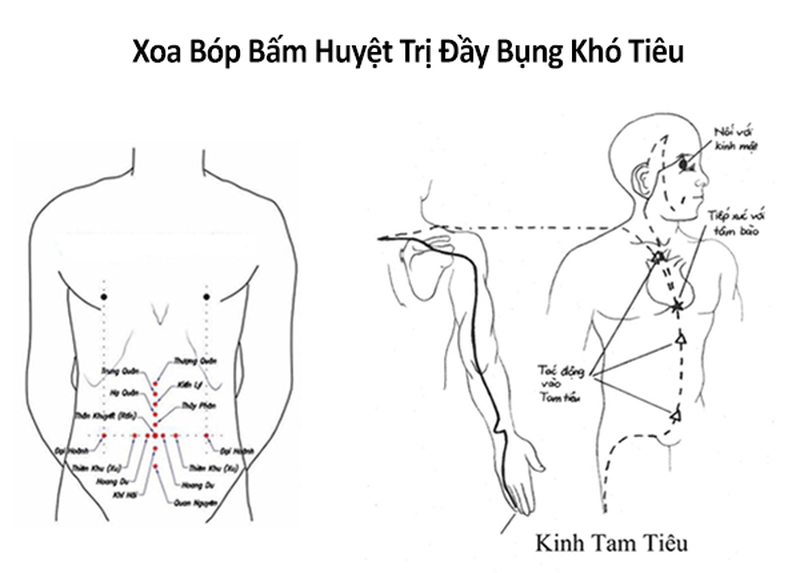 Các huyệt vị khi bấm huyệt chữa đầy bụng, khó tiêu
