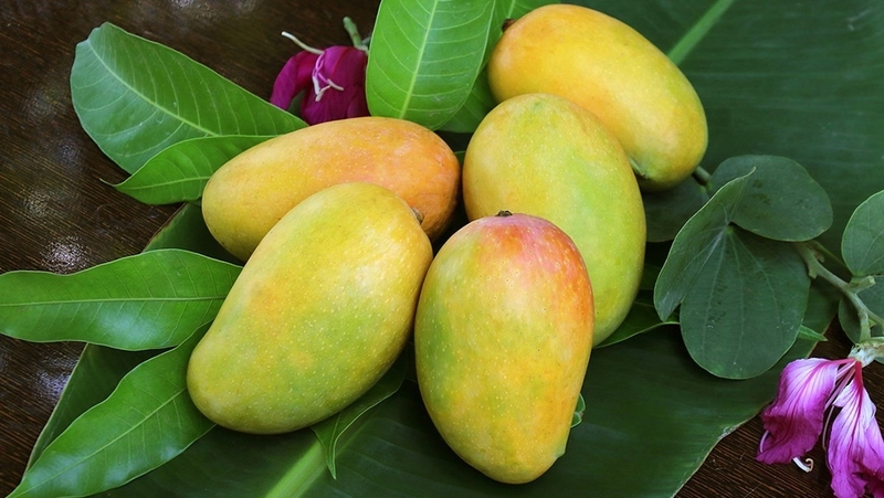 bi-quyet-giup-hap-thu-vitamin-a-tot-hon-tu-thuc-pham 3.jpg