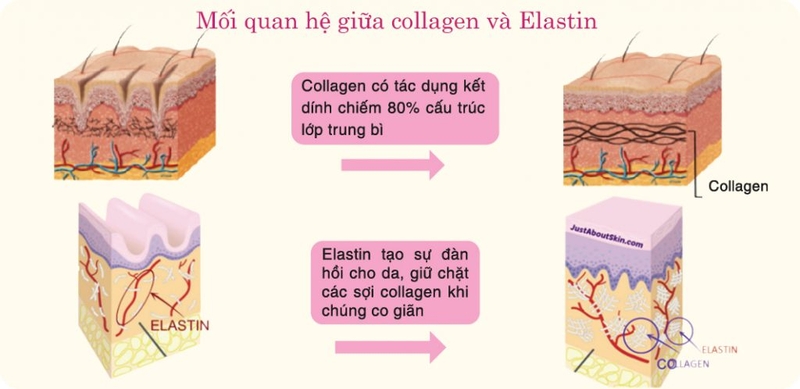 bị rạn da mông màu trắng 1