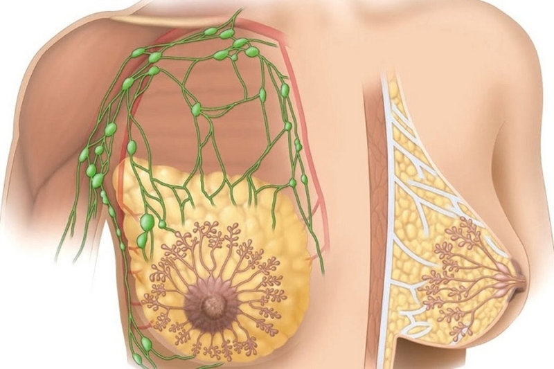 Bị sốt có mất sữa không? Các mẹ cần lưu ý điều gì khi bị sốt? 1