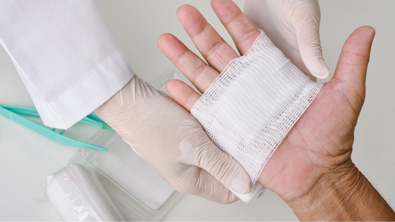 Cần xử lý ngay vết thương thỏ cắn