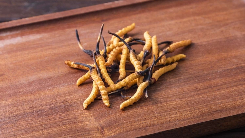 Bị u xơ có uống được đông trùng hạ thảo không? Vì sao? 2