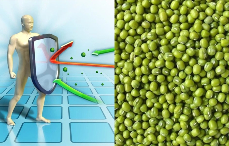 bi-vet-thuong-ho-an-dau-xanh-duoc-khong-ban-co-biet 2.jpg