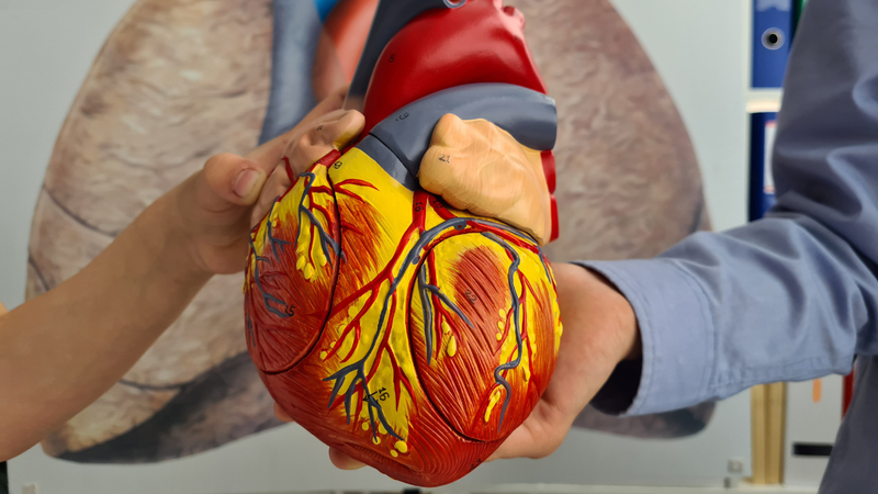 Khi cơ tim bị tổn thương khiến tim không đủ sức bơm máu nuôi cơ thể