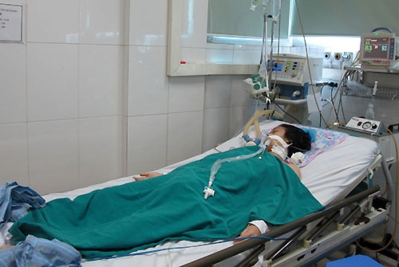 Bị viêm não Nhật Bản người lớn cũng có nguy cơ mắc phải như trẻ em 3