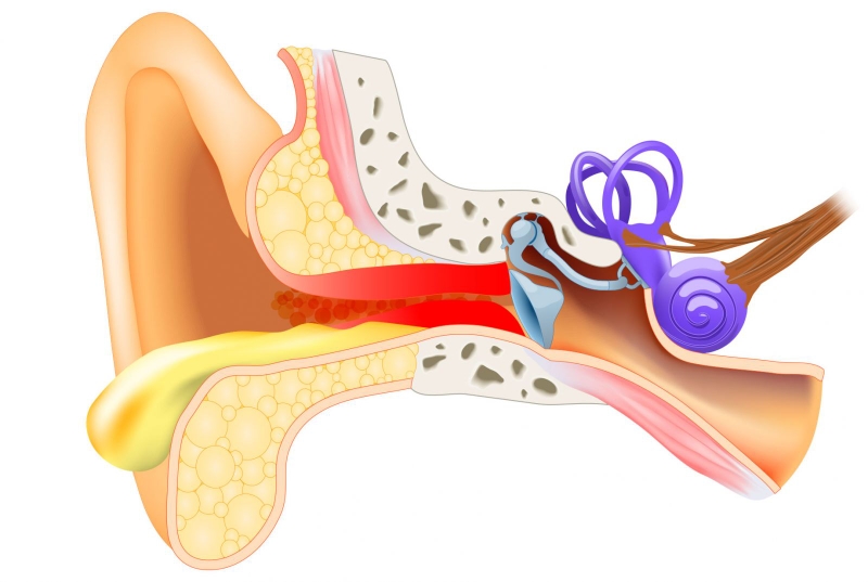 Bị viêm tai giữa có mủ kiêng ăn gì?1