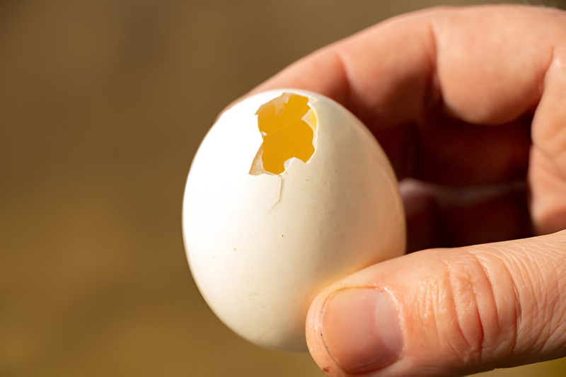 Bị xơ gan có ăn được trứng gà không?-2