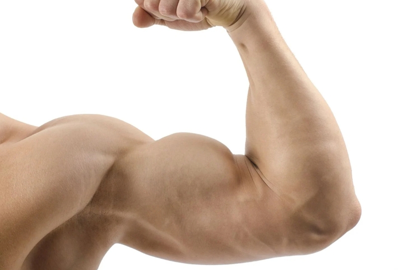 bicep-curls-la-gi-va-cach-tap-bicep-curls-dung-cach 2.jpg