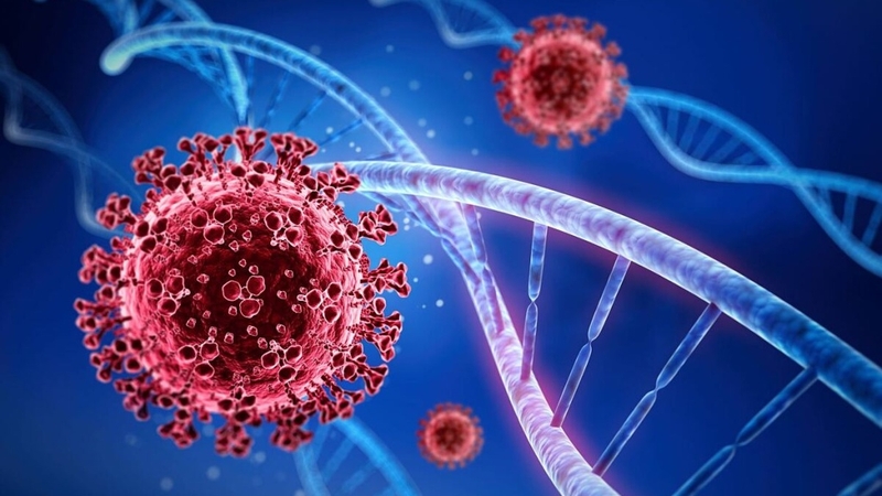 Biến chủng mới của nCoV nguy hiểm như thế nào? 2