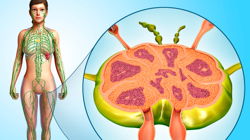 bien-chung-nao-hach-nach-va-cach-phong-ngua 1