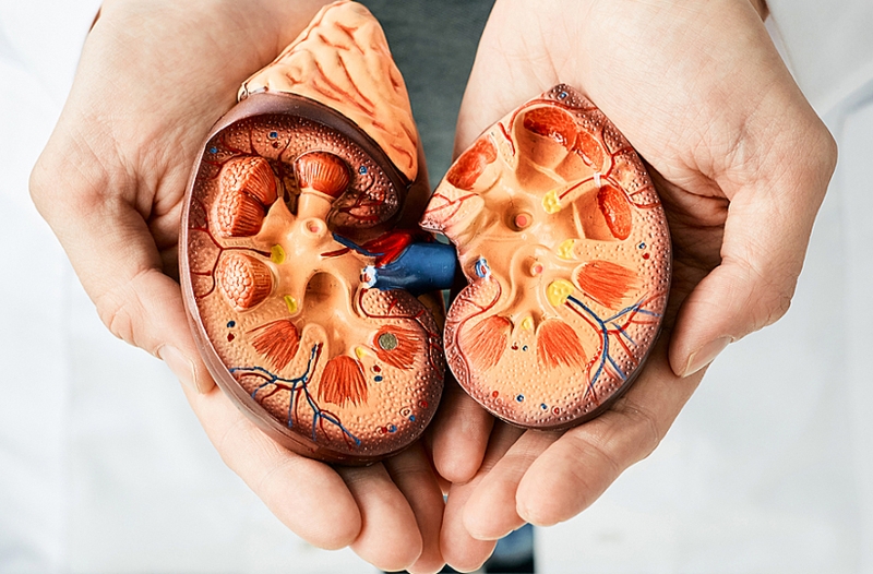 Biến chứng nhiễm trùng thận ảnh hưởng đến sức khỏe 2