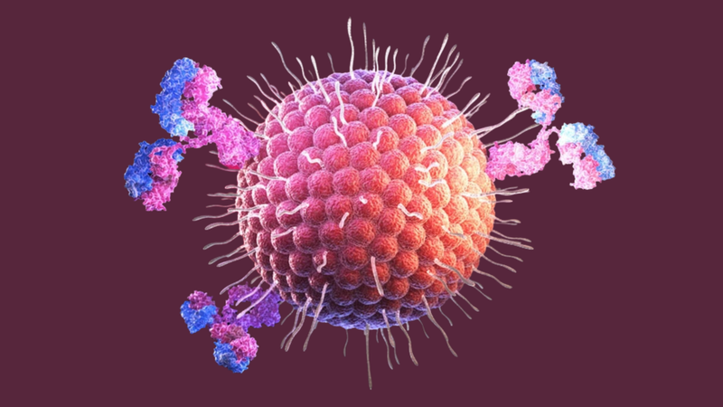 Virus varicella-zoster có thể liên quan đến một số biến chứng ở hệ thần kinh trung ương