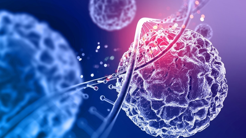 bien-chung-ung-thu-nguy-hiem-nhu-the-nao 2