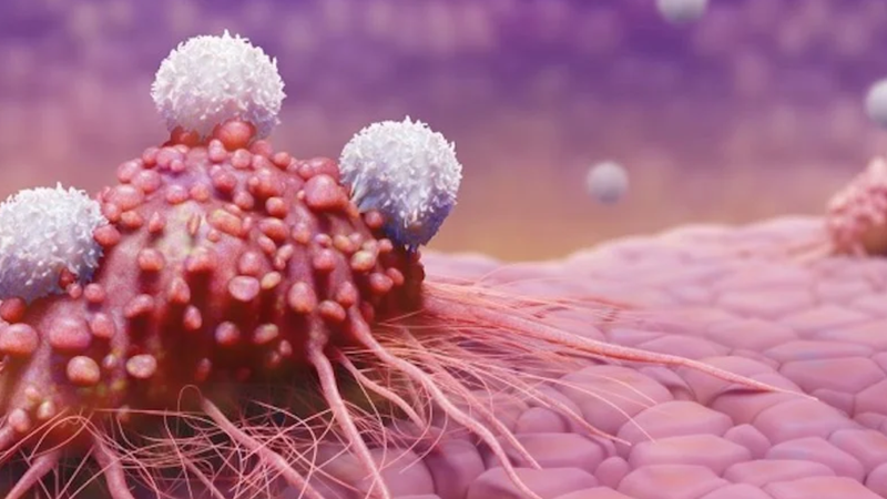 Biến đổi gen mới tăng cường hiệu quả của tế bào CAR-T chống lại ung thư 2