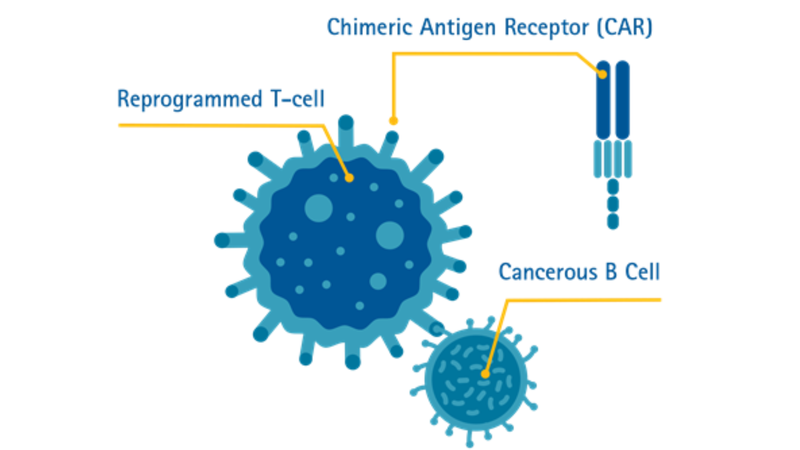 Biến đổi gen mới tăng cường hiệu quả của tế bào CAR-T chống lại ung thư 3