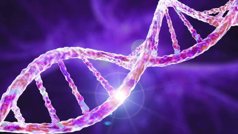 Biến đổi gen mới tăng cường hiệu quả của tế bào CAR-T chống lại ung thư 4