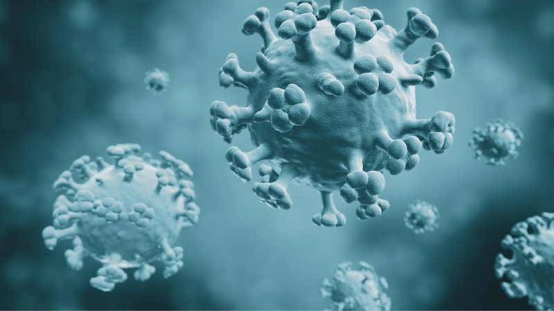 Biện pháp phòng tránh bệnh đường hô hấp 2