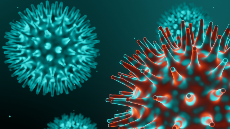 Biến thể COVID-19 BA.3.2 là một nhánh phụ của biến thể Omicron