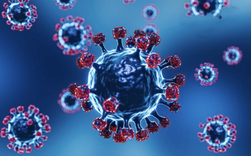 Biến thể là gì 2