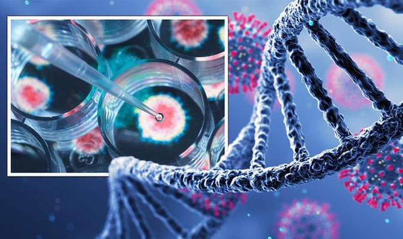 Hành trình 2 tuần lây lan xuyên lục địa của biến thể Covid mới - Omicron2