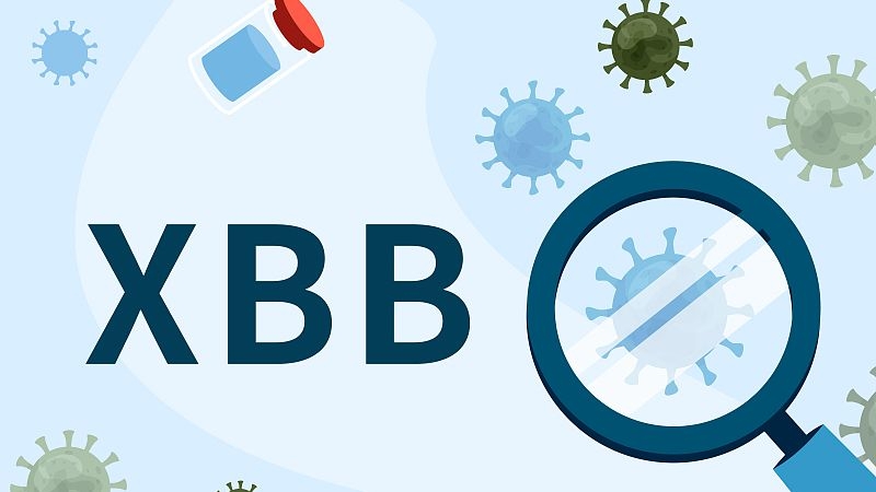 Biến thể mới của COVID-19 – XBB nguy hiểm như thế nào?1