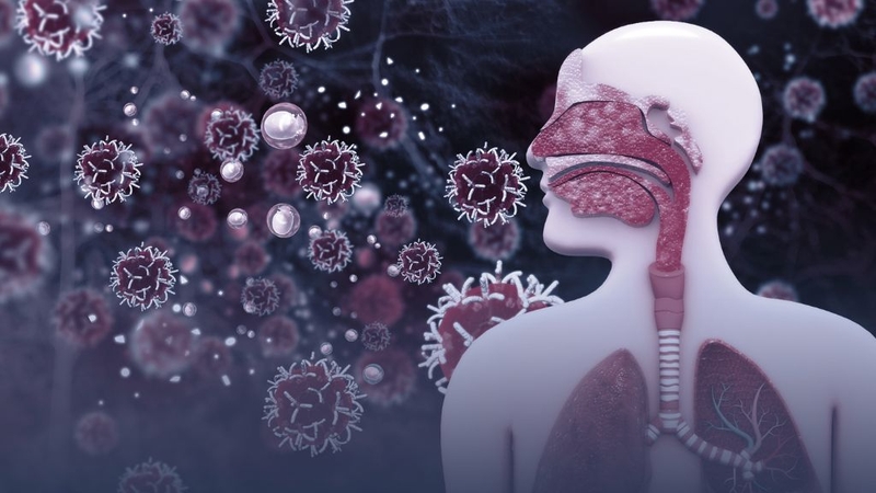 Biểu hiện quai bị là gì? Cách phòng và trị bệnh ra sao? 2