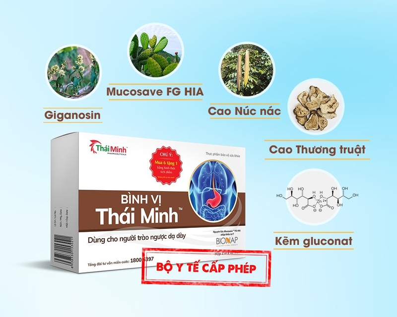 Bình Vị Thái Minh có tốt không? 3