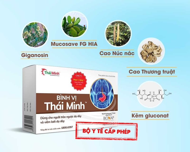 Bình vị Thái Minh giá bao nhiêu, mua ở đâu? 2