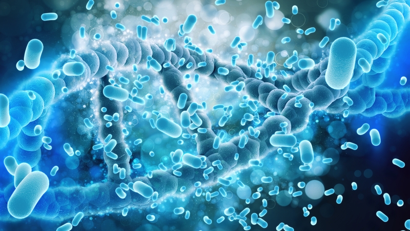 bio-spray-co-dung-duoc-cho-ba-bau-khong 3