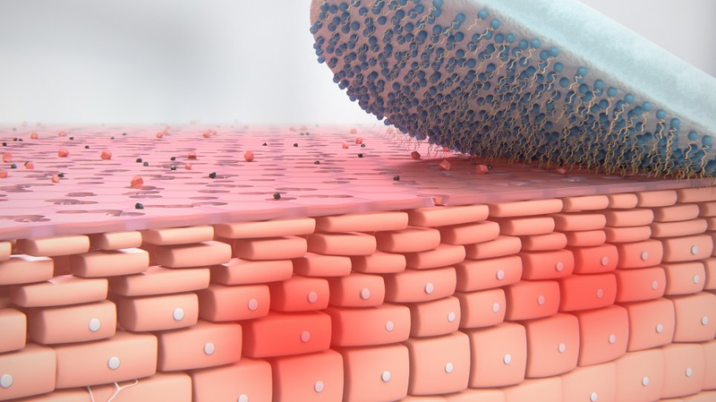 Bioderma hồng dùng cho da gì phù hợp nhất? Đánh giá ưu nhược điểm của sản phẩm 3