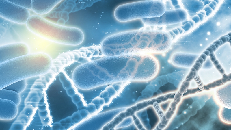 biolactomin-co-dung-duoc-cho-ba-bau-khong 3