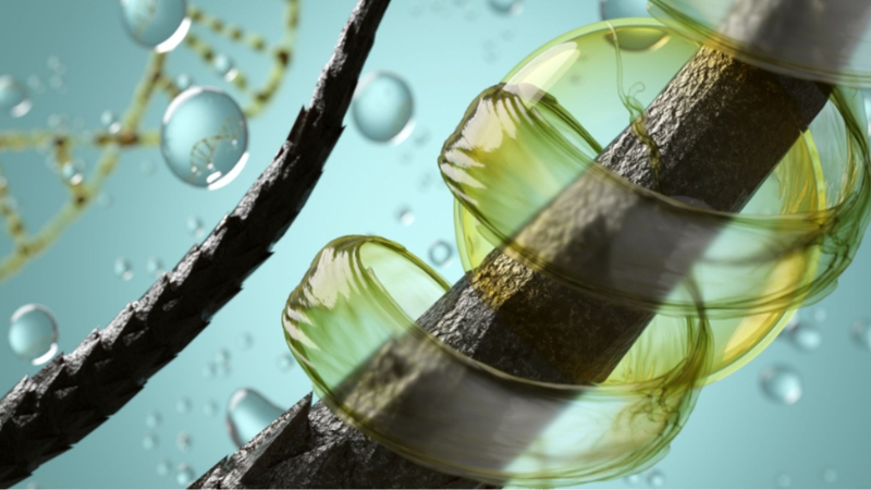 Biotin giúp tăng cường cấu trúc keratin, cho sợi tóc chắc khỏe hơn